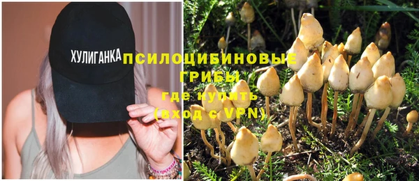 амф Навашино