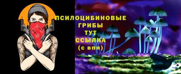 СК Михайловск
