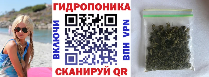 Бошки марихуана сатива  наркошоп  Кизел 